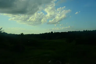 DSC_7808 (Large).JPG